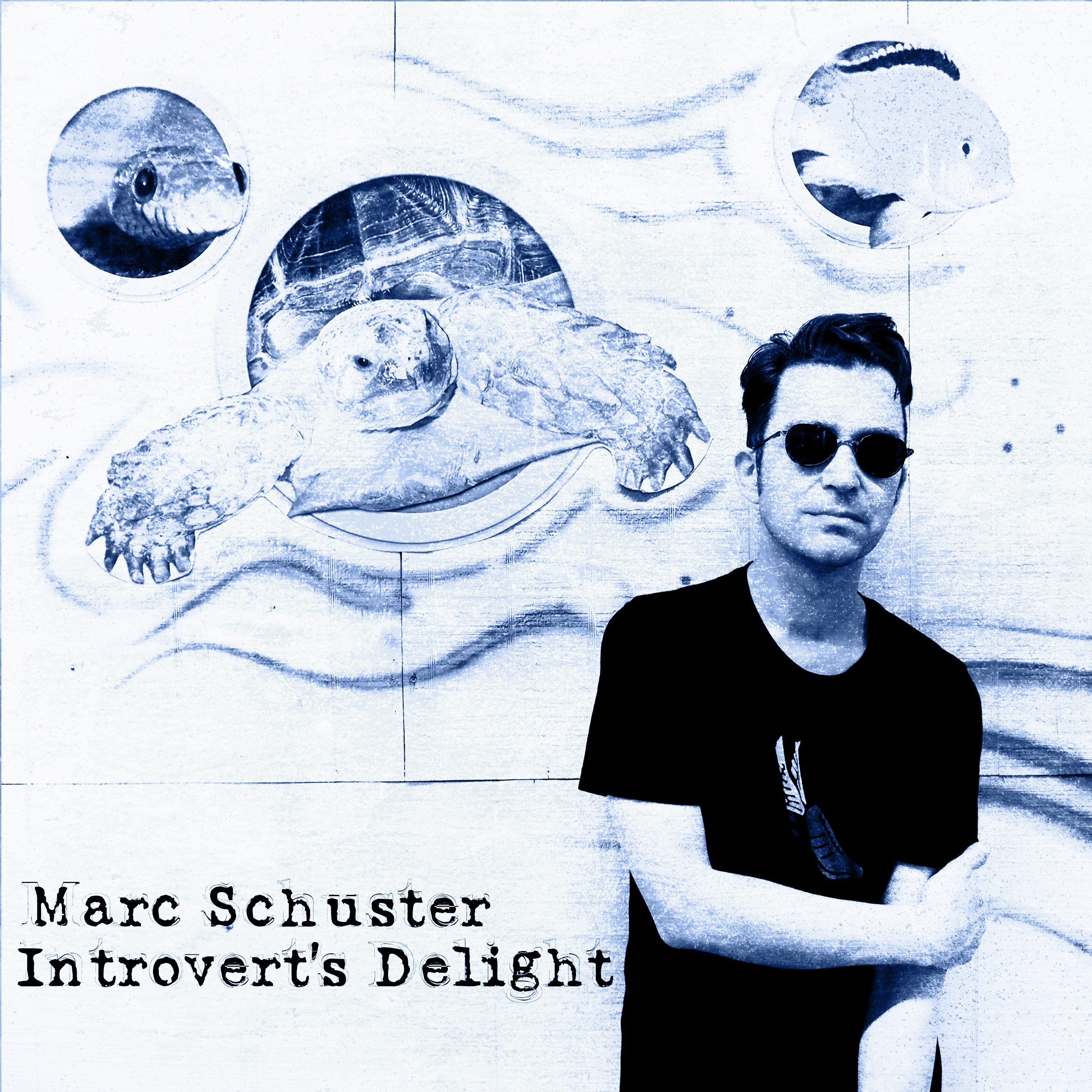 Introvert's Delight