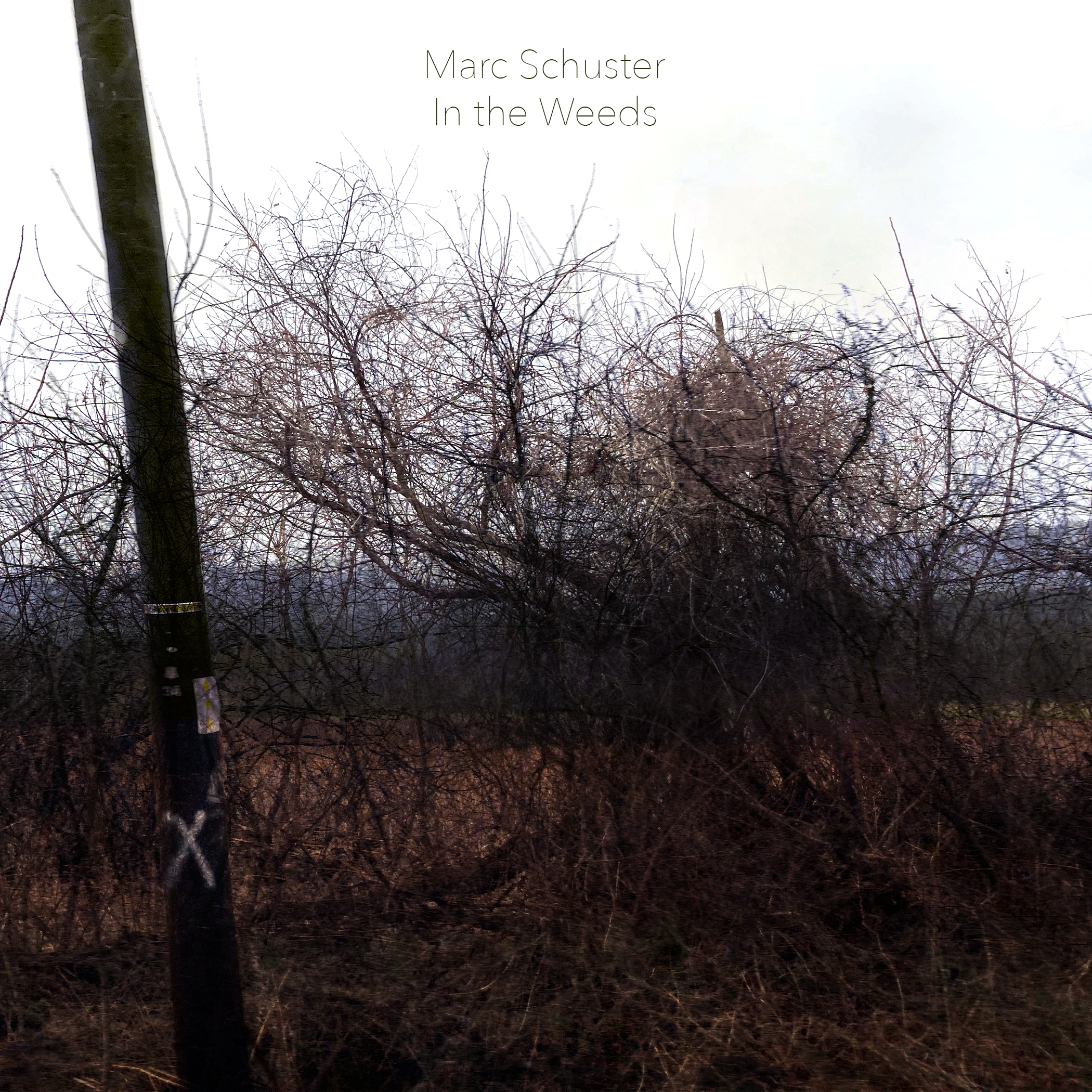 In the Weeds cover